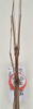 CollectionObject 1562736; 6388627c-f20c-48b1-bd8e-f602d4ccb5ef: copyright QMBA. male: head & thorax (holotype). (CollectionObject).
