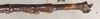 CollectionObject 1556973; 26aa5dcb-0a71-452e-8371-8d655e737257: copyright OUMNH. male: end of abdomen, lateral view of Cyphocrana punctipes (holotype). (CollectionObject).