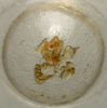 CollectionObject 1535065; 8f588282-f026-4610-acad-e2b77ced5f52: male titillator (holotype). (CollectionObject).