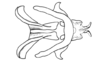 Dichromatos schrottkyi (Rehn, 1918): Fig. 9AM. endophallic plate, cingulum and aedeagal valves with sheath, dorsal view. (Otu).
