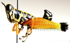 Afromastax zebra zebra (Gerstaecker, 1889): male, lateral view. (Otu).