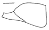 Pantecphylus (Pantecphylus) kamerunus Schmidt, 2003: Fig. 7. male subgenital plate, lateral view (scale bar 1 mm). (Otu).