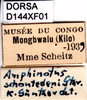 CollectionObject 1505191; 12d1510a-9632-480c-86f5-3bd1145e4ea8: labels. (CollectionObject).