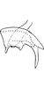 Pygofer, lateral view: Pygofer dorsal appendage (D. neka Dwor.). (Observation).