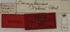 CollectionObject 1534981; 7a1d286d-6e9c-4a7e-bd62-dd0b51c81216: labels (syntype). (CollectionObject).