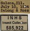 Other on Athysanella (Amphipyga) longicauda Beirne, 1955: Labels - Female. Labels for the female specimen. (Observation).