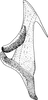 Aedeagus, lateral view on Cosmotettix (Airosus) costalis (Fallén, 1826): Aedeagus, lateral view. (Observation).