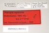 CollectionObject 1572282; NHMUK(SF IMPORT DUPLICATE) 845012, 4c85ec47-81d4-4582-8962-57560fab3f1e: copyright Natural History Museum, London. male, data labels (holotype). (CollectionObject).