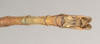 CollectionObject 1557609; NHMUK(SF IMPORT DUPLICATE) 845243, 394b3b61-6a8d-41f5-a1aa-1f76924523c8: copyright Natural History Museum, London. male: end of abdomen, ventral view of Bacteria spinosa (holotype). (CollectionObject).
