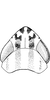 Head: !! display not done !! on Cosmotettix beirnei (Hamilton & Ross, 1975): Head, prothorax. (Observation).