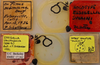 CollectionObject 2321661; b53f1c5c-167d-4e43-8d87-077757e44944, EMEC 17361: (CollectionObject).