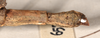 CollectionObject 1562044; a67b131b-87db-4825-82d2-6101bda753bd: copyright OUMNH. female: end of abdomen, lateral view of Phasma (Necroscia) curtipes (holotype). (CollectionObject).