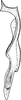 Stylus: !! display not done !! on Arboridia (Arboridia) parvula (Boheman, 1845): Stylus. (Observation).