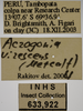 Other: !! display not done !! on Acrogonia virescens (Metcalf, 1949): Labels. (Observation).