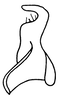 Stylus on Paralimnus (Anthocallis) minor Kusnezov, 1929: (Observation).