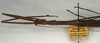 CollectionObject 1558403; NMW 924'', fb12eb21-c55f-4a5c-adb7-578624ea133e: copyright NMW, Vienna. female: head and thorax, lateral view (paralectotype). (CollectionObject).