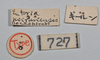 CollectionObject 1558569; 53e1fdbb-9161-455d-bcb1-b772a9e51aaa: copyright NTUC. male, data labels (syntype). (CollectionObject).;CollectionObject 1558570; bfcc2c1d-711c-4901-beb1-4a62427f0abc: copyright NTUC. male, data labels (syntype). (CollectionObject).