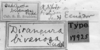 Diraneura bivenosa (Scudder, 1869): Image Carbonell, C.S. Label female (unspecified type). (Otu).