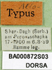 CollectionObject 1502038; 0865e7ce-2f63-4f73-940c-5a2c69ac6677: labels (alloptype). (CollectionObject).