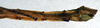 Xylica abbreviata Redtenbacher, 1906: copyright NMW. female: end of abdomen, lateral view (syntype). (Otu).