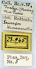 CollectionObject 1559303; NMW 5, ce85fb4f-dff6-41ca-8978-7f1358beec11: copyright NMW. female. data labels (lectotype). (CollectionObject).