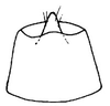 Anal tube processes on Bahita interjecta Linnavuori & DeLong, 1978: Bahita interjecta, anal tube, dorsally. (Observation).