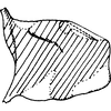 Pygofer, lateral view on Empoascanara (Empoascanara) smuga Dworakowska, 1979: Pygofer, lateral view. (Observation).