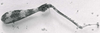 CollectionObject 1581949; 18f36afc-6864-4927-aae3-0b12fa73aa8a: male hind leg (syntype). (CollectionObject).