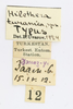 CollectionObject 1591612; 2304a653-18c3-44b7-b820-d3106bc0777b: labels (holotype). (CollectionObject).