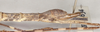 CollectionObject 1561391; c2b545e0-f65b-445d-8c94-ccf5d98b8b33: copyright OUMNH. female: end of abdomen, lateral view of Necroscia zeuxis (syntype). (CollectionObject).;CollectionObject 1561392; 42fc9fba-64dd-45a8-9c4b-d3f6ad783312: copyright OUMNH. female: end of abdomen, lateral view of Necroscia zeuxis (syntype). (CollectionObject).