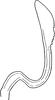 Stylus: !! display not done !! on Stroggylocephalus agrestis (Fallén, 1806): Stylus. (Observation).