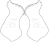 Erioloides consobrinus (Saussure & Pictet, 1898): Fig. 23 B. male titillators. (Otu).