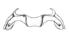 Comansacris hirsutus Ronderos & Cigliano, 1989: Fig. 26. epiphallus, dorsal view. (Otu).