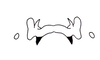 Demochares cristulatus (Stål, 1878): Fig. 99. Male, epiphallus. (Otu).