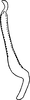Stylus: Stylus (G. nigroscuta Mahmood). (Observation).