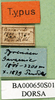 CollectionObject 1501305; b79a3c3a-a59a-4bd0-a128-5f4de306bc29: labels (labels). (CollectionObject).