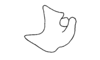Adelacris atrocephala (Bruner, 1908): Fig. 38. male cercus, lateral view of inner face. (Otu).