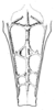 Misythus cristicornis (Walker, 1871): Pl. XXIV, Fig. 1 (Polillo Island, Luzon). dorsal view of caudal portion of pronotum (female). (Otu).