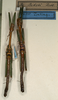 CollectionObject 1562533; b9cd10af-16ac-4794-9e92-0533cad4fbf3: copyright NMW, Vienna. male (syntypes). (CollectionObject).