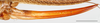 CollectionObject 1585132; 301fafda-b6b9-4a6a-a11b-bdef98767d29: female, ovipositor (scale bar: 5 mm). (CollectionObject).