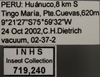 Other on Dilobopterus bracteatulus (Jacobi, 1905): Labels. (Observation).
