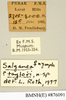 CollectionObject 1573090; 76933afa-d75d-4561-b0ed-f67d926aaec3: Copyright Natural History Museum, London. Labels from non-type (female nymph) in BM(NH). (CollectionObject).