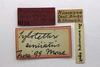 CollectionObject 1523142; 69f8e632-327e-40f4-a086-5df6490ec41c: labels (holotype). (CollectionObject).