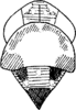 Head: !! display not done !! on Alebrasca expansa (Dworakowska, 1995): Head, pro-, and mesothorax. (Observation).