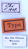 CollectionObject 1534476; d6db73e6-d256-4476-9255-700965bd9e6a: labels (syntype). (CollectionObject).