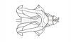 Dichroplus exilis Giglio-Tos, 1894: Fig. 46. cingulum and endophallus, dorsal view. (Otu).