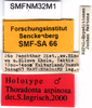 CollectionObject 1505361; 8088e0ad-bd23-477f-a0a0-cc09bc18c578: labels (holotype). (CollectionObject).