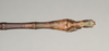 CollectionObject 1561039; NHMUK(SF IMPORT DUPLICATE) 844542, 1ce5d895-25c0-4bc6-9b50-1a4377cbfef3: copyright Natural History Museum, London. male: end of abdomen, dorsal view (holotype). (CollectionObject).