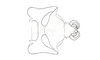 Dichroplus mantiqueirae Ronderos, Carbonell & Mesa, 1968: Fig. 104. epiphallus, ectophallus and aedeagus apex, dorsal view. (Otu).