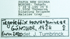 CollectionObject 1592103; 77abd781-428e-4687-90e9-39d5e195a420: female immat., labels. (CollectionObject).